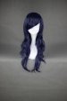 The Prince of Tennis!Ryou Kisarazu's Wig!