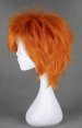 The Prince of Tennis!Wakato Hiroshi's Wig!