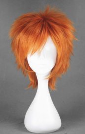 The Prince of Tennis!Wakato Hiroshi's Wig!