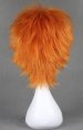 The Prince of Tennis!Wakato Hiroshi's Wig!