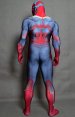 The Vision AOU Printed Spandex Lycra Costume with Cape