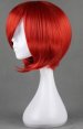 VOCALOID! AKAITO's Wig!