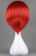 VOCALOID! AKAITO's Wig!