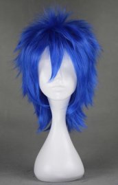 VOCALOID!Kaito's Wig!