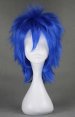 VOCALOID!Kaito's Wig!