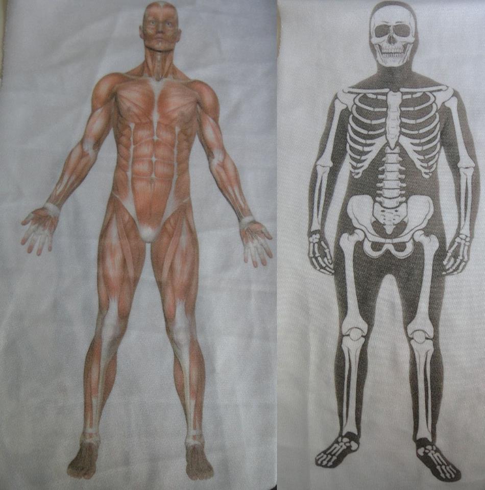Costume Idea Draft