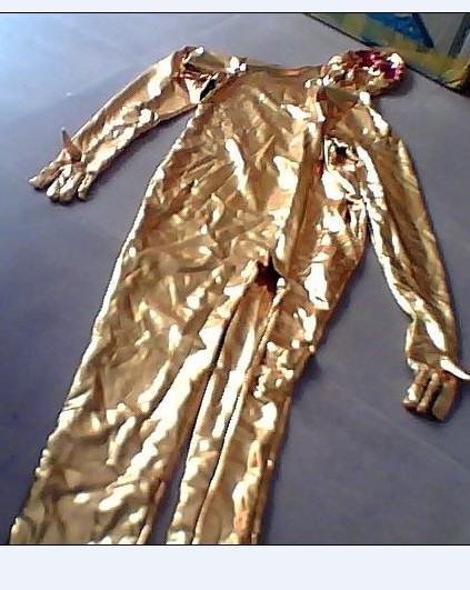 Costume Idea Draft