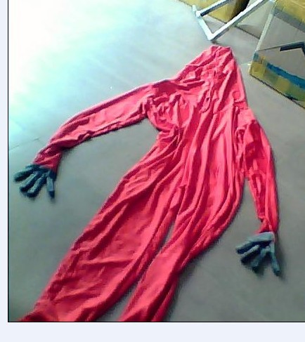 Costume Idea Draft
