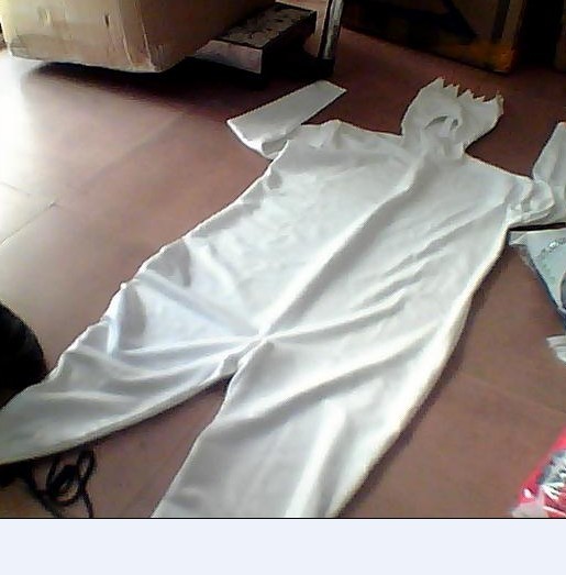 Costume Idea Draft